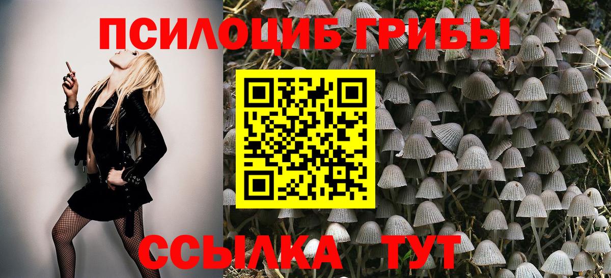 Псилоцибиновые грибы GOLDEN TEACHER  Вход с VPN  Владикавказ 